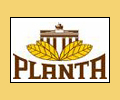 Planta Pfeifentabak
